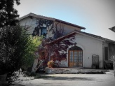 Dettagli