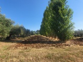 Dettagli